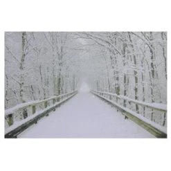 Northlight Winter Wooden Bridge Fiber Optic Lighted Canvas Wall Art