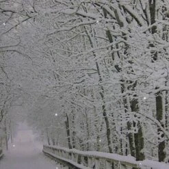 Northlight Winter Wooden Bridge Fiber Optic Lighted Canvas Wall Art -Northlight Decor Store M20007883 2