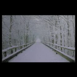 Northlight Winter Wooden Bridge Fiber Optic Lighted Canvas Wall Art -Northlight Decor Store M20007883 3